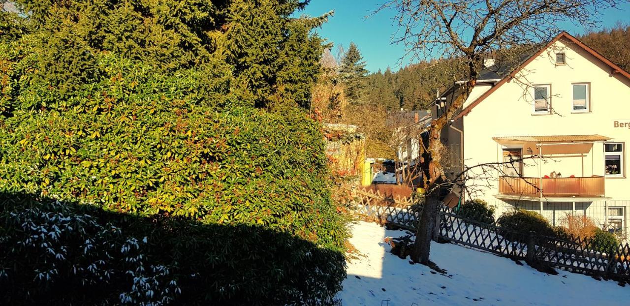 Villa Helvetia باد إلستر المظهر الخارجي الصورة